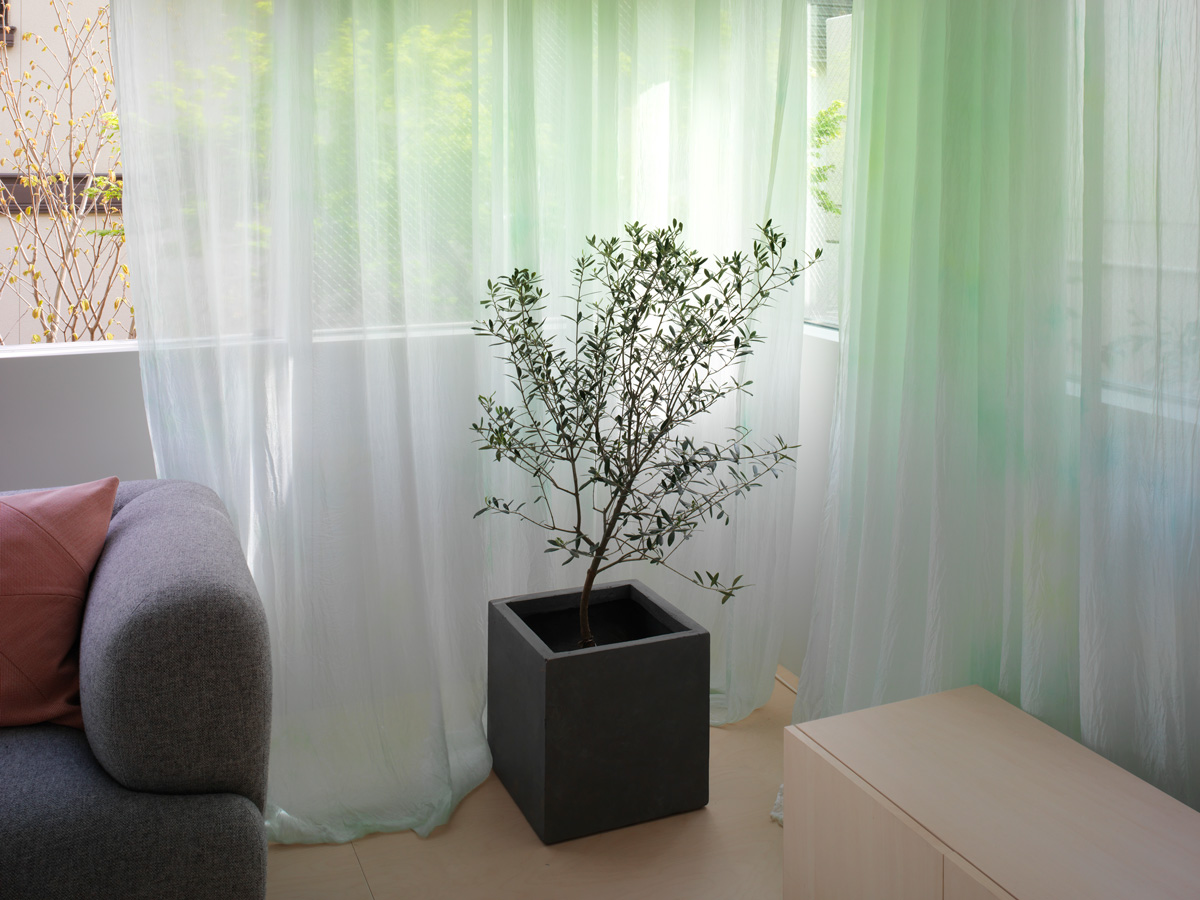 Curtain for Nerima House